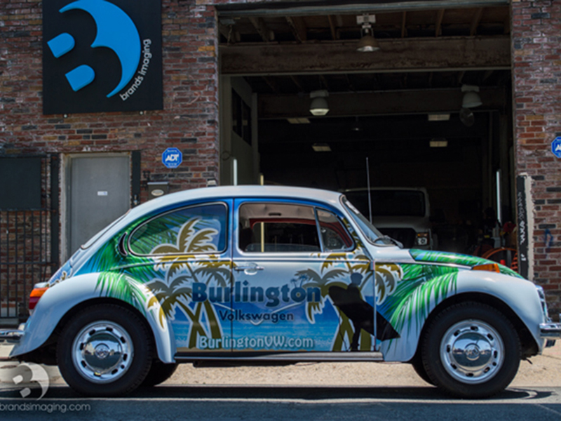 Tropical Wrap Car Wrap Weird Cars Beetle 8868